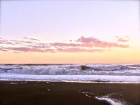 The Redwood Hearts Cottage in Cambria Các khách sạn ở San Luis Obispo