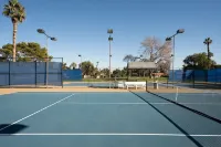 Desert Oasis Walking Distance to Festivals. Pet Friendly!