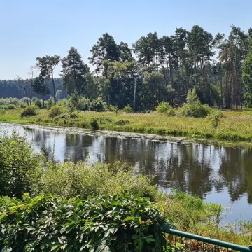 Spreeblick vacation apartment directly on the old Spree with lots of nature and relaxation