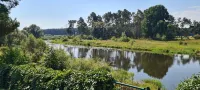 Spreeblick vacation apartment directly on the old Spree with lots of nature and relaxation - Alojamientos