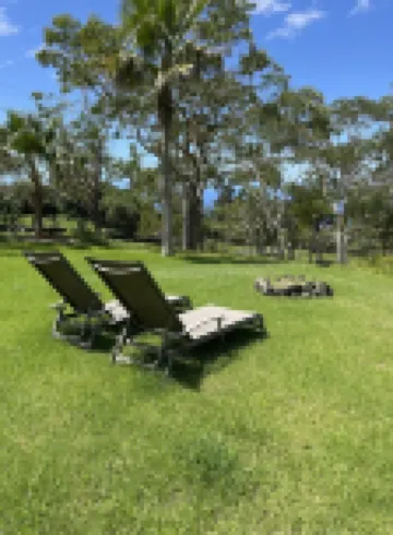 Dragonfly Healing Farm