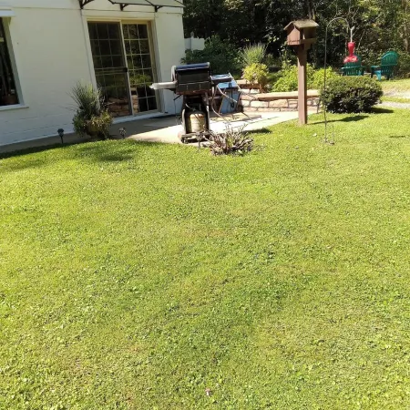 Reduced to 80.00 March -July week days