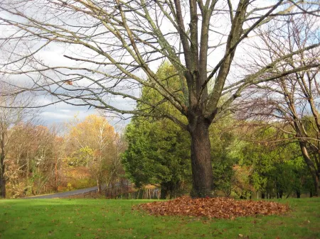 The Pond House near Charlottesville