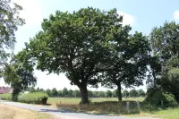 60m² apartment in the Ammerland parkland - rental bikes - - 公寓