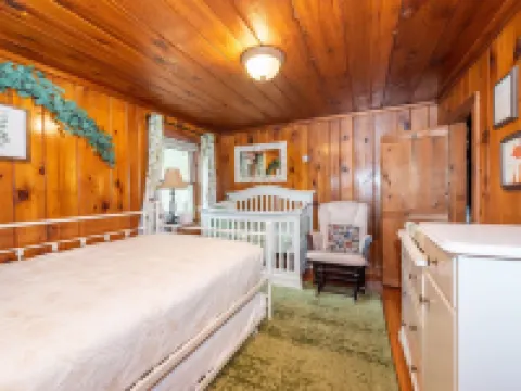 Cute Log Cabin! Boyne Mountain! Hot Tub! Walloon Lake! Fireplace! Beach! Hotels in Melrose Township