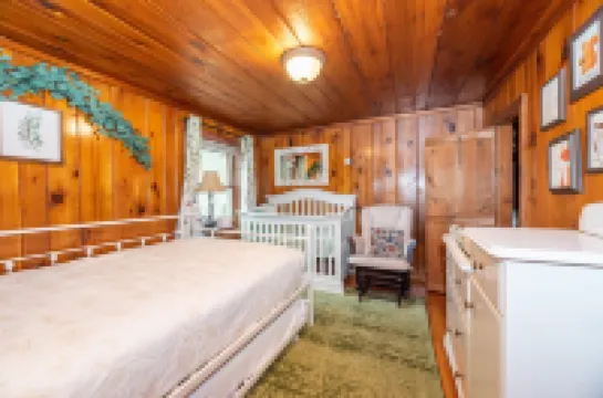 Cute Log Cabin! Boyne Mountain! Hot Tub! Walloon Lake! Waterpark!