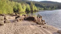 FeWo Hirschsprung - Cozy 2 room apartment in the vacation resort at Schluchsee (pool) - 무료 와이파이