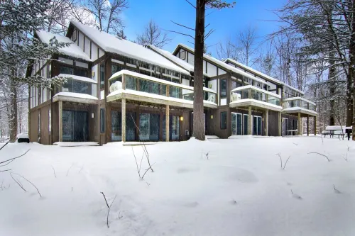 Stunning Creekside Condo at  Shanty Creek w/short drive to Short's
