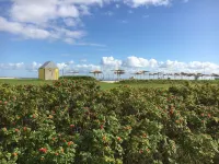 Wattkante Burhave, Apartment Hans & Grete (upper floor): 62 sqm,  near the beach Hotels in Butjadingen