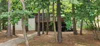 "Cabin in the Cove"  Private waterfront home on beautiful Lake Hartwell
