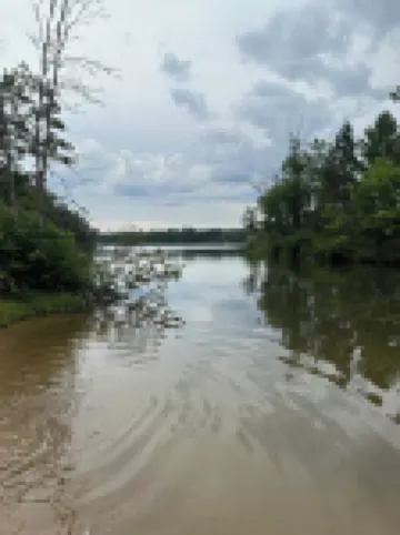 A Stream  runs through it. Comfy little cabin with a stream by your bedroom.