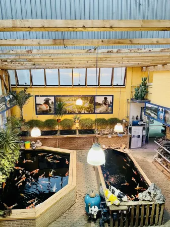 Großzügiges Loft in Zentraler Lage Отели рядом с достопримечательностью «Крепость Данквардероде»