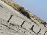 Freistehendes Kapitänshaus in Ruhiger Lage am Ende Einer Sackgasse mit Wlan