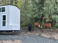 Charming 2-bedroom farmhouse style tiny home in  Rainier with Hot tub