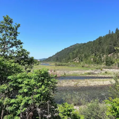 Bright Condo With Views & Easy Access to CDA River. Minutes From Gondola!