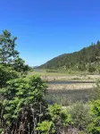 Bright Condo With Views & Easy Access to CDA River.  Minutes From Gondola! - 民泊