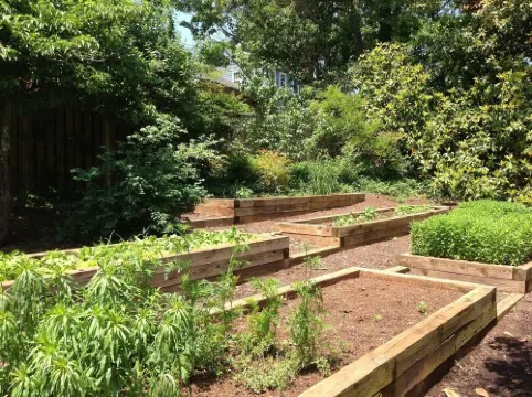 Enderly - c1859 - English Basement Apartment