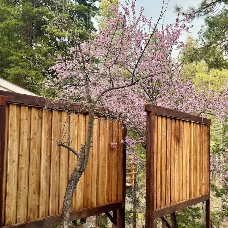 Riverfront Cabin on Hamilton Branch · Lake Almanor / Pet-Friendly Отели в г. Пламас Каунти