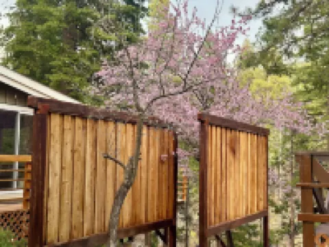 Riverfront Cabin on Hamilton Branch · Lake Almanor / Pet-Friendly