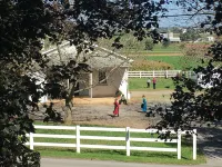 Upscale Luxury in Amish Country, King Bed, Jetted Tub & Garden Patio