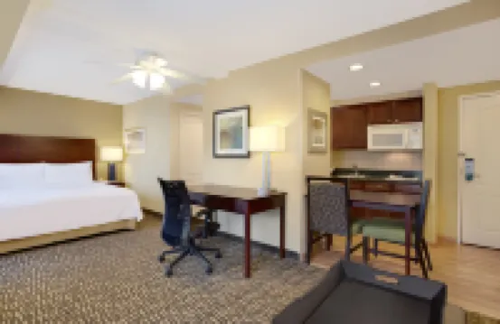 Homewood Suites by Hilton Tampa-Brandon Hotels in Tampa