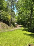Dog friendly Sylva NC Mountain Retreat<br>Near WCU and downtown