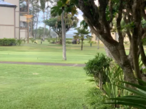 PERFECT KAUAI Condo!! Steps from Beach/2bd2bth Washer/Dryer AC -Free Parking Hotels in Kapaa