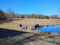 Roomy 3-Bedroom Horse & Goat Ranchette with Hiking Trails. Noccalula & Gadsden Hotels in Etowah County