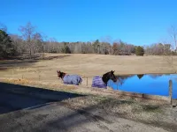 Roomy 3-bedroom horse ranchette with hiking/biking trails. Noccalula & Gadsden Hotels in Etowah County