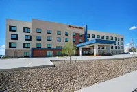 Hampton Inn by Hilton Midland South Hotels in Midland
