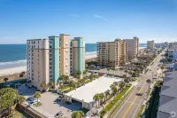 Dolphin Heaven on the 10th Floor - Check Out Our New Unit Vrbo 4411481