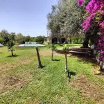 Giardino di Limoni Eco Friendly Villa - Villas