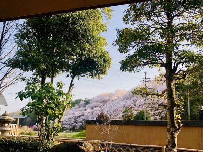 ホテル周辺 瀧澤禅寺の写真