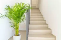 Nuova -Luxury Rooms & Apartment- Hotels in Pittulongu