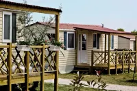 Aminess Planet Camping Holiday Homes Sirena Hotels in der Nähe von Regenschirme von Novigrad