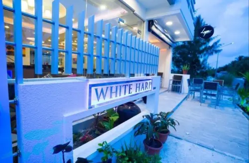 Whiteharp Beach Inn