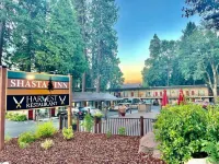 Shasta Inn - Wifi