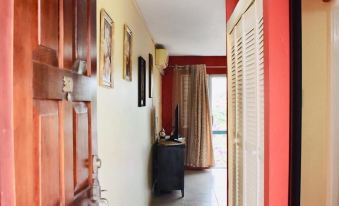 New Kingston Guest Apartment at Chelsea