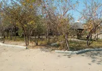Little Lodge