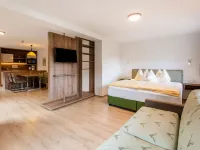 Apartment in Wald Near Zillertal Ski Slopes Hotels near Krimml Waterfalls