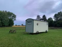 Starry Meadow & Rescued Animal Experiences