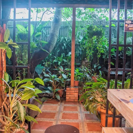 Gardens House, Airport Juan Santamaría, Alajuela, San José Отели рядом с достопримечательностью «Зоопарк Аве»