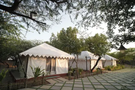 Palace Beach Camp Отели в г. Мандви