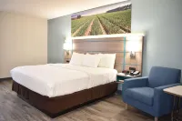 클라리온 포인트 비달리아 - 리옹 웨스트