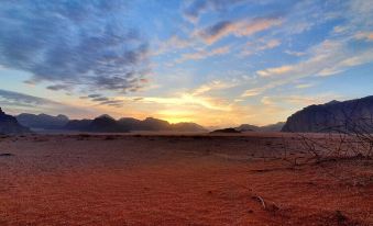 Wadi Rum Oasis