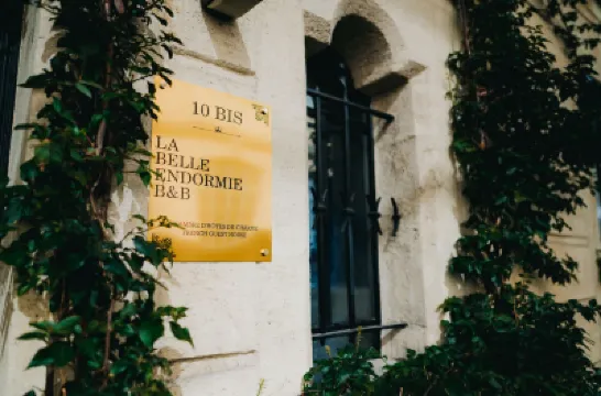 La Belle Endormie B&B Hotels near Basilique Saint-Michel