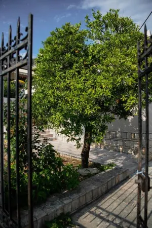 Betty's 4 Seasons in Agria