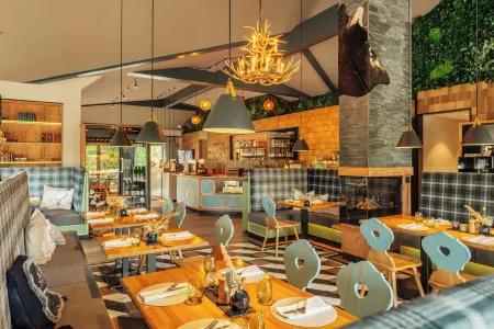 Das Schierke Harzresort Отели рядом с достопримечательностью «Замок Вернигероде»