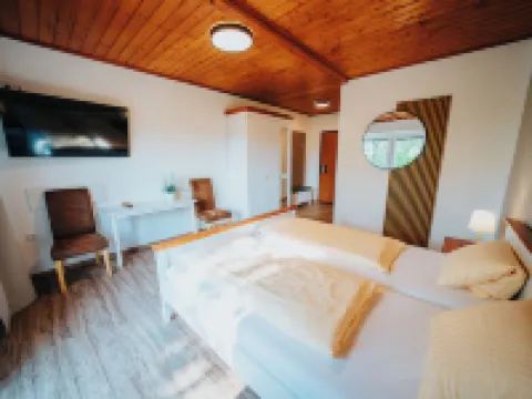 Hotel Leo Hotels in Steyr
