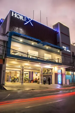 Horex (Horison Express) Hotel Sentani